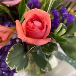 Barb Shaw Frymier - @blfrymier - Instagram