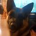 Barbara Shaw - Facebook