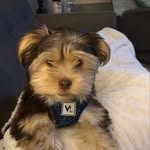 Barb Peterson - @barb_sheldonlee - Instagram