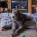 Barb Sheppard - Facebook