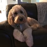Barb Shoemaker Booth - @babsb255 - Instagram