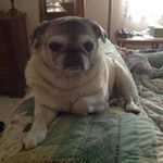 Barb Shoup - @shoupbarb - Instagram