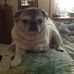 Barb Shoup - Facebook