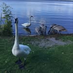 Barb Silver - @mandbsilver - Instagram