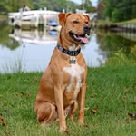 Barb Silverberg - @silverbergbarb - Instagram
