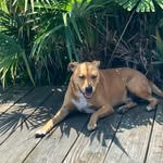 Barb Silverberg - @barb.silverberg_ - Instagram