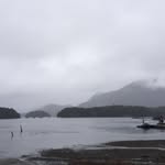 Barbara Young Silverthorn - @barb_silverthorn - Instagram