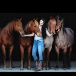 Bárbi B. - @silverlakeranch.horses.barbi.b - Instagram