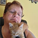 barb simms - @simms_barb - Instagram