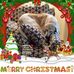 Barb Simons - Facebook
