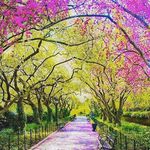 Barb Simpson - @barbsimpson1426 - Instagram