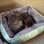 Barb Simpson - @barbsimpson3440 - Instagram