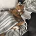 Barb Sinclair - Facebook