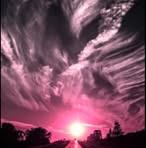 Barb Singer - Facebook