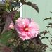 Barb Sisk - Facebook