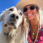 Barb Siskin - @barbsiskin - Instagram