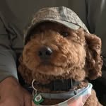 Barb Skelton - @barbskelton - Instagram