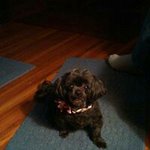 Barb Snell - @barb.snell - Instagram