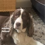 Barb Snell - @bels152 - Instagram
