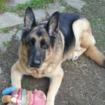 Barb Snow DeAngelis - @barbsnow1117 - Instagram