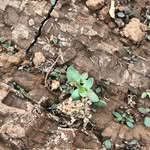 Barb Snyder - @nimba49 - Instagram