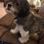 Barb Snyder - @bookmarkbjs - Instagram