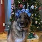 Barb Snyder - @englerbarb - Instagram