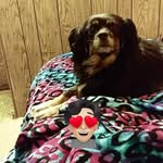 Barb Snyder - @barb361963 - Instagram