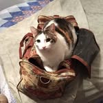 Barb Snyder - @barb.snyder.3975 - Instagram