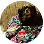 Barb Snyder - @barb361963___ - Instagram