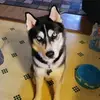 Barb Snyder - @barb.snyder7 - TikTok