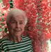 Barbara Dibish Soltis - Facebook