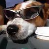 Barb Soto Ray - @2184882958 - TikTok