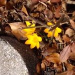 Barb Spangler - @barbspan0315 - Instagram
