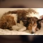 Barb Spence - @barb.spence.74 - Instagram