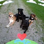Barb Higgins-Spencer - @barbhiggins2 - Instagram