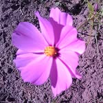 Barb Spencer - @barbspencer11 - Instagram