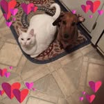 Barbara Niese Spencer - @barbspencer13 - Instagram