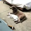 Barb Sparks173 - @barbie.sprinkle - TikTok