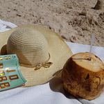 Barb Squires - @barb.squires568 - Instagram