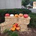 Barb Squires - Facebook