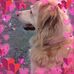 Barbara Squires - Facebook