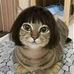 Barbara Stacey - Facebook