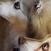 Barb Page Stagg - Facebook
