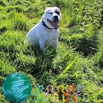 Barb Stanford - @barbarastanford1536 - Instagram