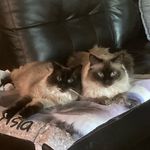 Barb Stanley - @barbstanley56 - Instagram