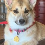 Barb Stanley - @frazierstanley74 - Instagram
