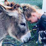 Barb Staples - @staplesbarb - Instagram