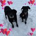 Barb Stark - Facebook