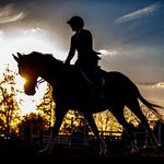 Barb Stark Tracy - @shallowhillequestrian - Instagram